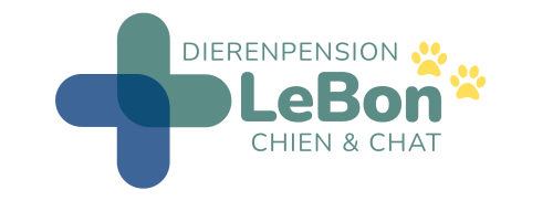 Le bon chien & Le bon chat